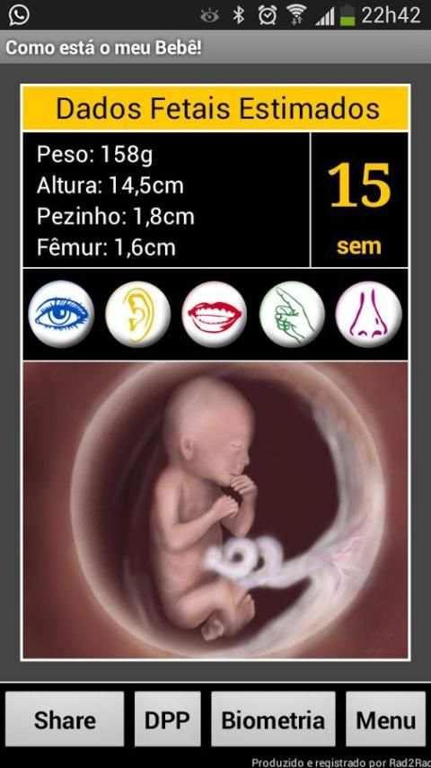 Gravidez ao Vivo LITE screenshot 4