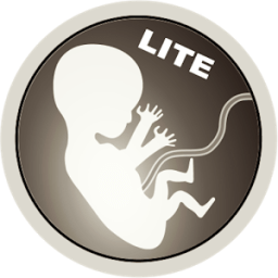 Gravidez ao Vivo LITE أيقونة