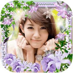 Lily 1.0