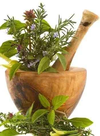 Ayurvedic Upchar скриншот 3