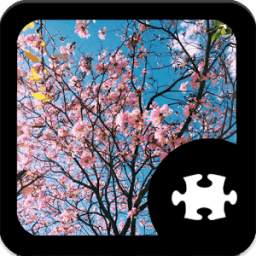 Spring Jigsaw Puzzle