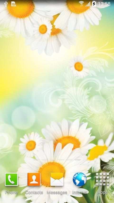 Daisies Live Wallpaper screenshot 1