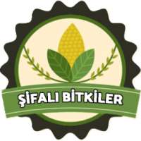 Şifalı Bitkiler ve Tedavileri & Sağlık on 9Apps