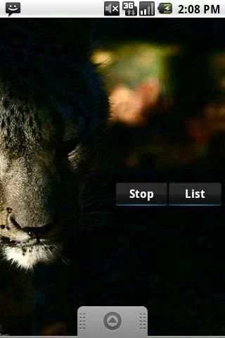 Voice Recorder screenshot 3