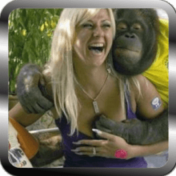 ikon **** Funny Videos ****