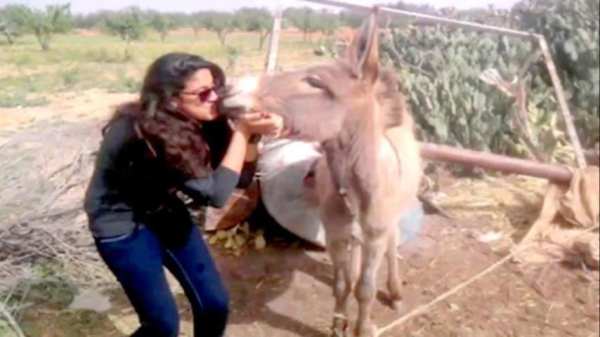 **** Funny Videos **** screenshot 7