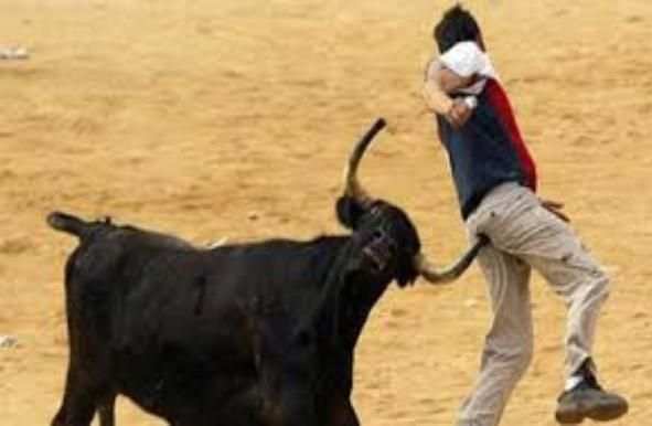 **** Funny Videos **** screenshot 3