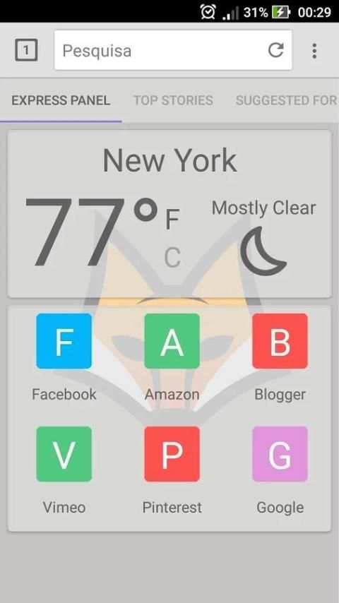 Fast Fox Browser screenshot 6