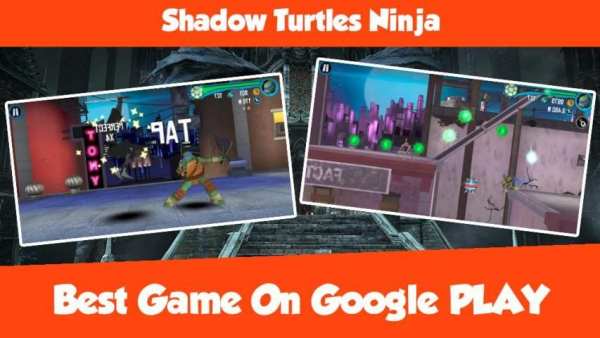 Shadow Turtles Ninja screenshot 1