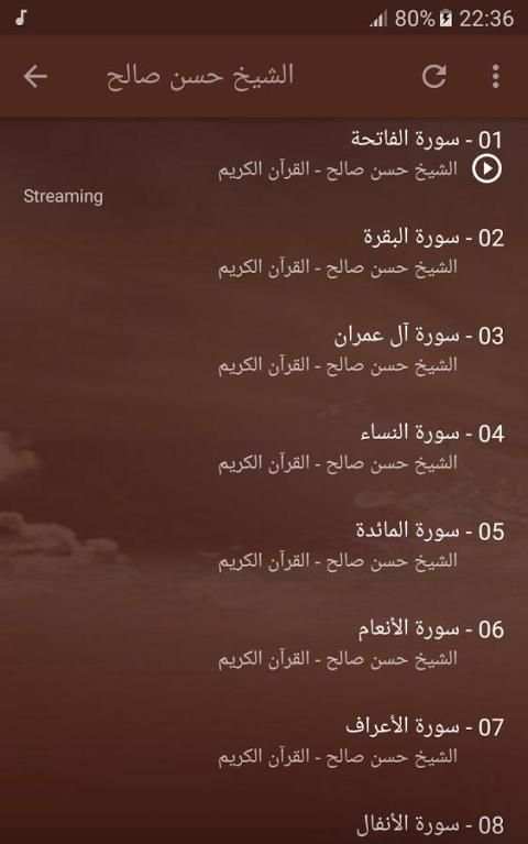 الشيخ حسن صالح القران كامل screenshot 4