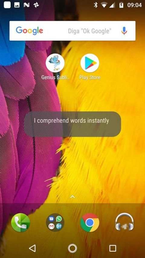 Genius Sublime Messages Free скриншот 3