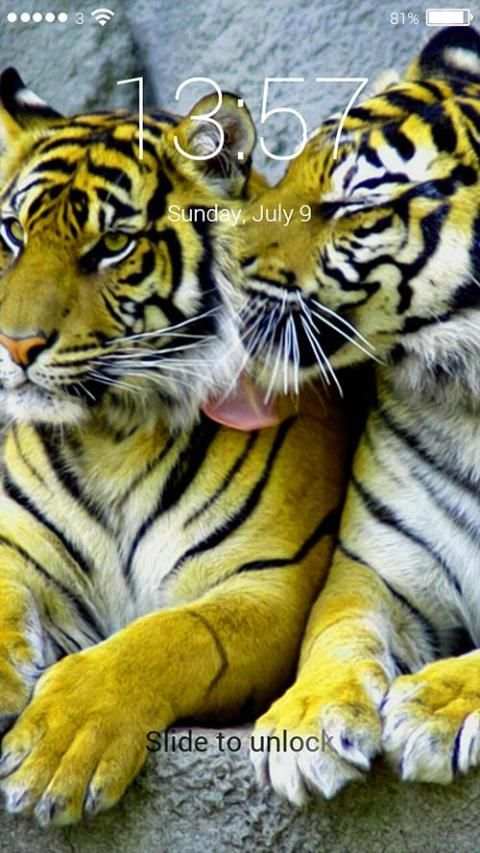 Finger Tiger Lock Screen screenshot 4