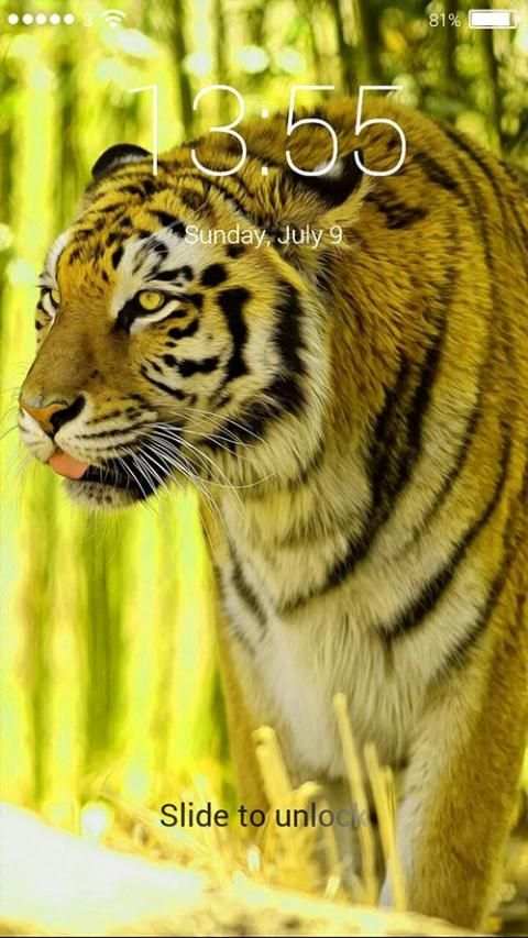 Finger Tiger Lock Screen screenshot 1
