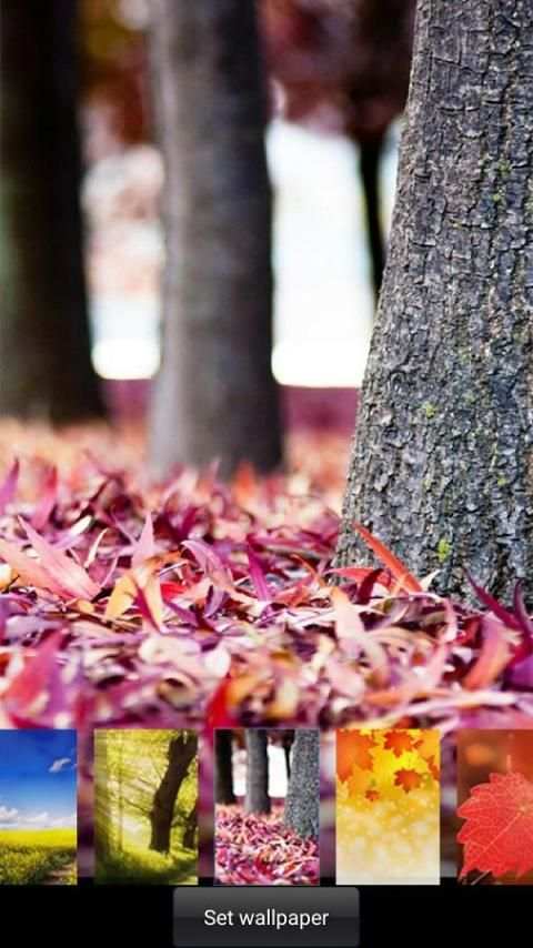 Autumn lock screen 4 تصوير الشاشة