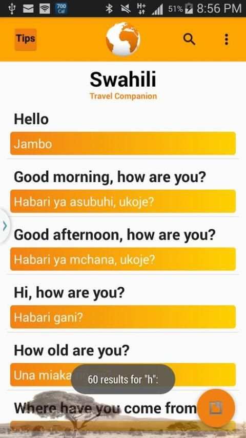 Swahili Travel Companion screenshot 5