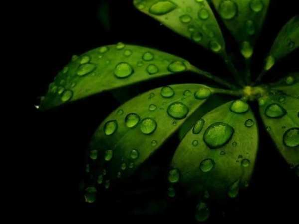 Download Full HD Wallpapers स्क्रीनशॉट 4