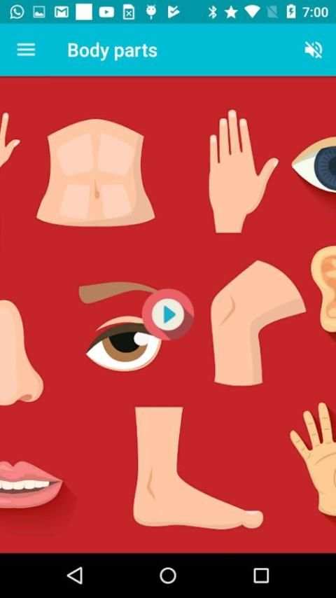 Body Parts-Learn, Spell, Quiz, Draw, Color & Games screenshot 7