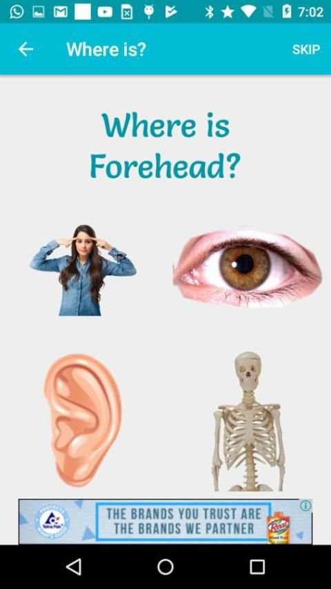 Body Parts-Learn, Spell, Quiz, Draw, Color & Games screenshot 3