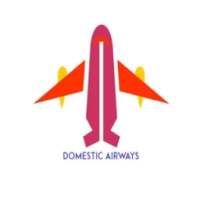 BD Domestic Airways