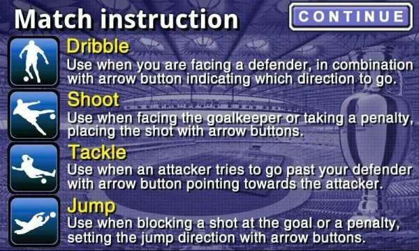 EURO 2012 Football/Soccer Game screenshot 2