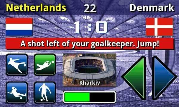 EURO 2012 Football/Soccer Game screenshot 5