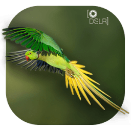 DSLR Camera : Blur Photo Effetcs أيقونة