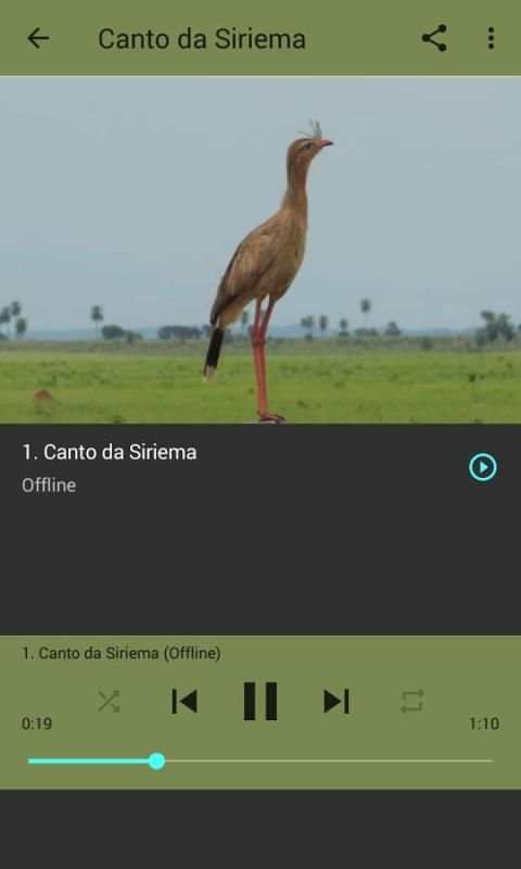 Seriema ave com canto mais lindo screenshot 3