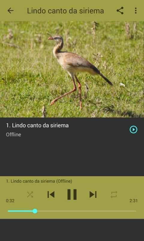 Seriema ave com canto mais lindo screenshot 2