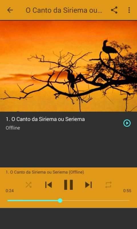 Seriema ave com canto mais lindo screenshot 1