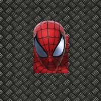 Ultimate Spidy Puzzles