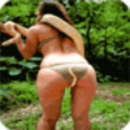 Funny Videos 4.0.2