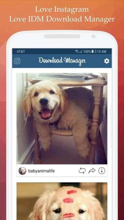 IDM Download Manager for Instagram screenshot 8