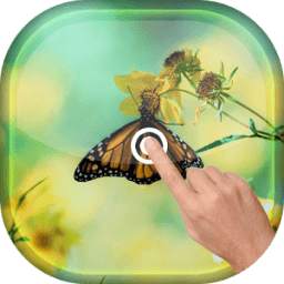 Magic Touch - Butterfly LWP Iota