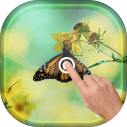 Magic Touch - Butterfly LWP иконка