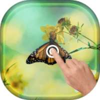 Magic Touch - Butterfly LWP