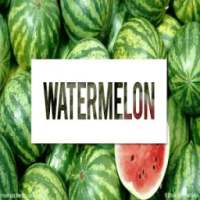 Health Benefits Of Watermelon on 9Apps