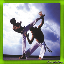 Stretegi Learning Self Defense Professional icon