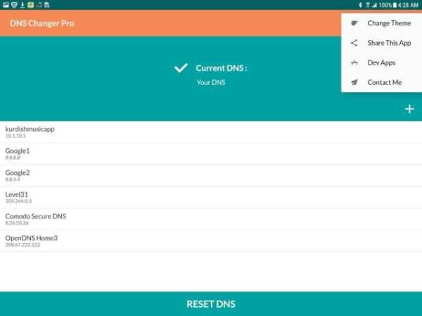 DNS Changer PRO скриншот 1