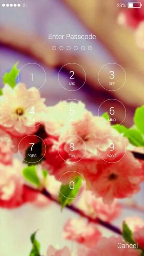 Beautiful Flower Lock Screen screenshot 6