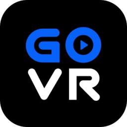 GoVR Player 1.13.0505.1111