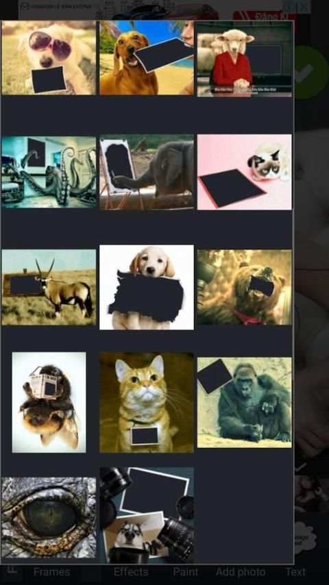 Animal Photo Frames screenshot 5