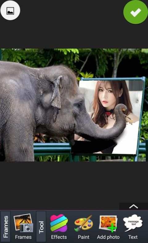 Animal Photo Frames screenshot 3