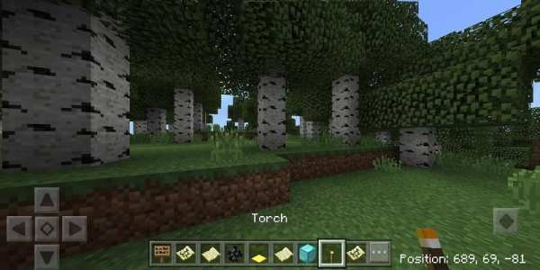 MOD Coordinates Addon скриншот 2