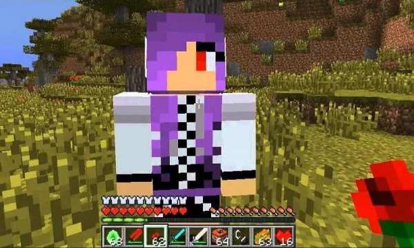 Girlfriend Mod for MCPE screenshot 1