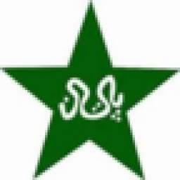 Pak Cricket T20 2.0