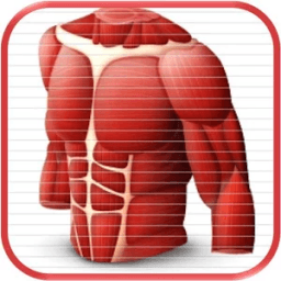 Anatomy Comprehensive Review L иконка