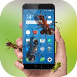 Ant in phone 3.2.0
