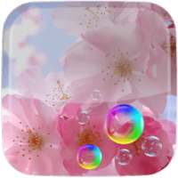 Sakura Live Wallpaper