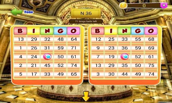 Star Bingo Game screenshot 3