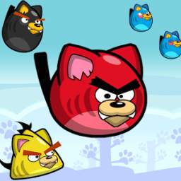 Angry Pussy Cats 3.1.1